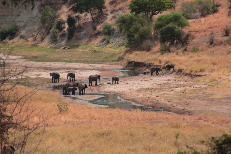 Tarangire-img_8857