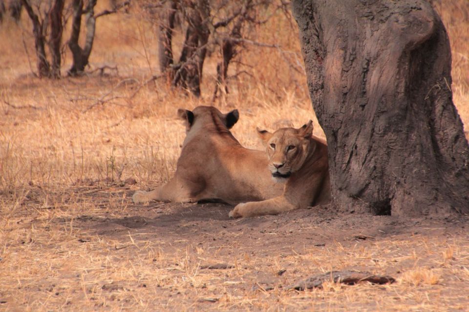 Tarangire-img_8870