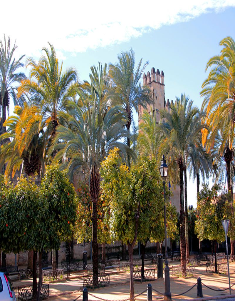 exterior_alcazar