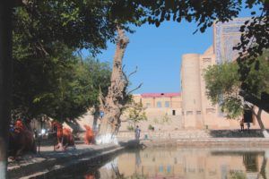 Parque en el centro de la ciudad. Bukhara