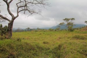 Parque Nacional de Arusha