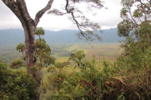 Parque Nacional de Arusha