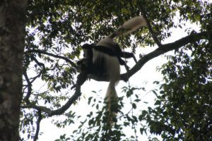 Parque Nacional de Arusha