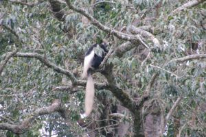 Parque Nacional de Arusha