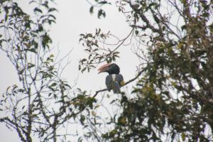 Parque Nacional de Arusha