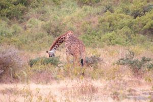 Parque Nacional de Arusha