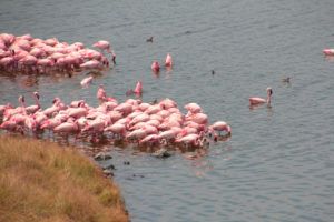 Parque Nacional de Arusha