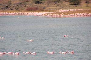 Parque Nacional de Arusha