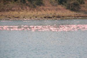 Parque Nacional de Arusha