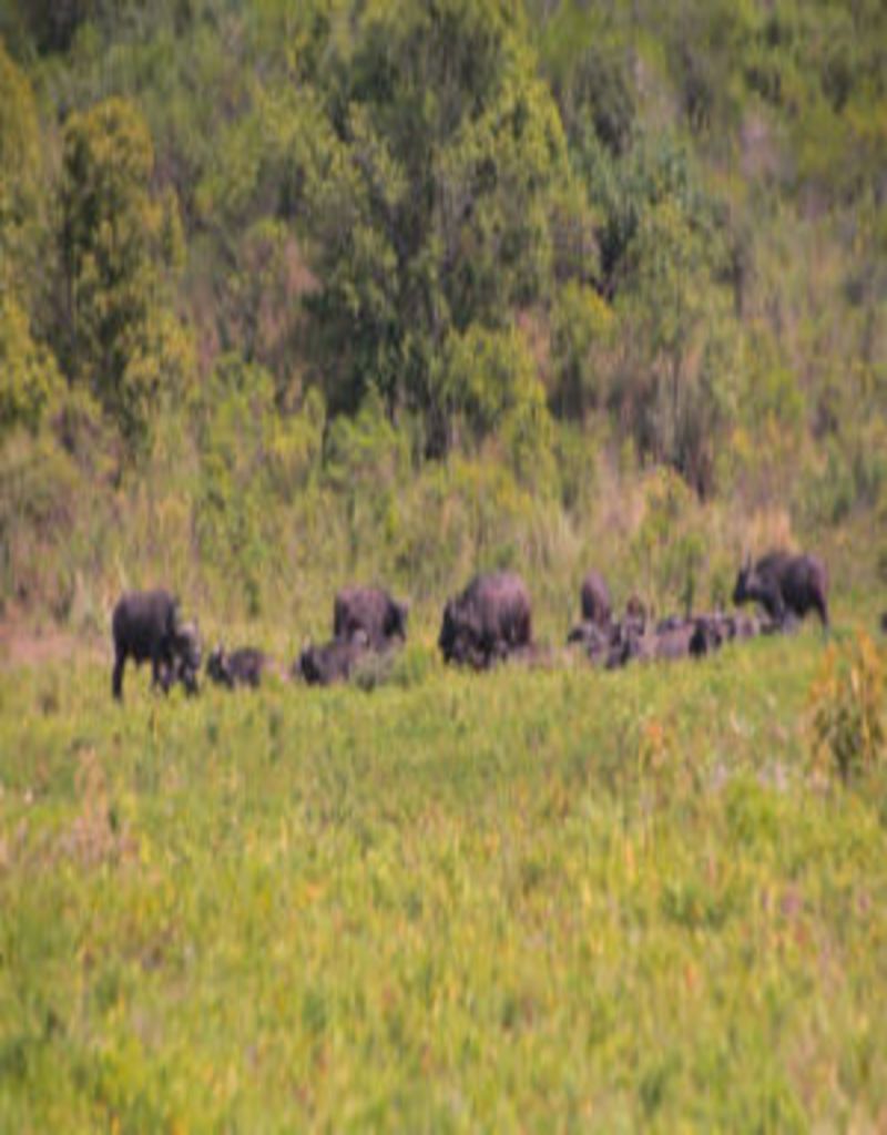 Parque Nacional de Arusha