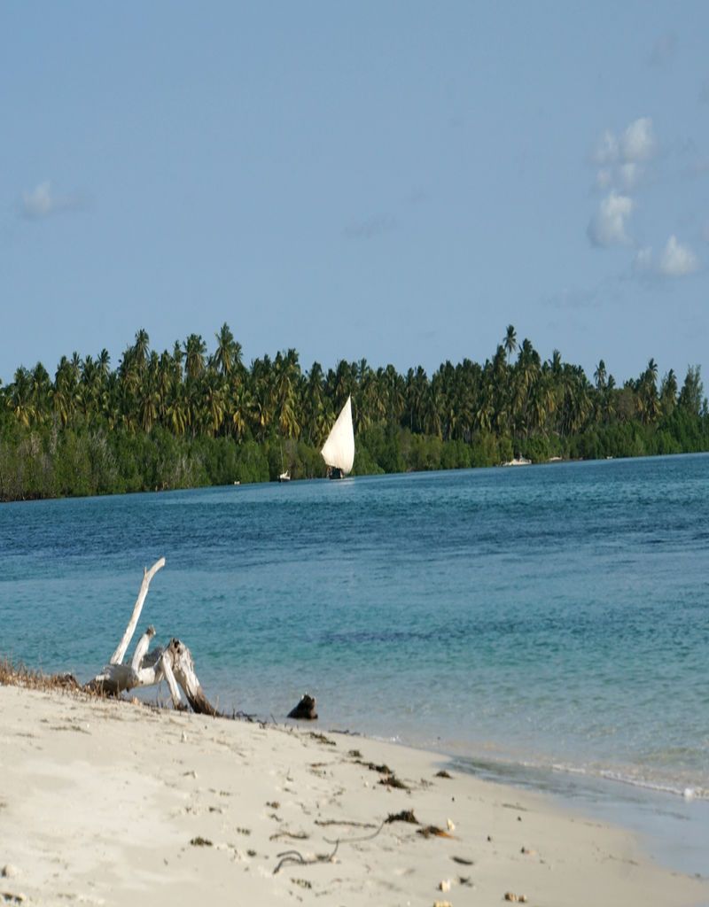 Isla de Mafia. Tanzania