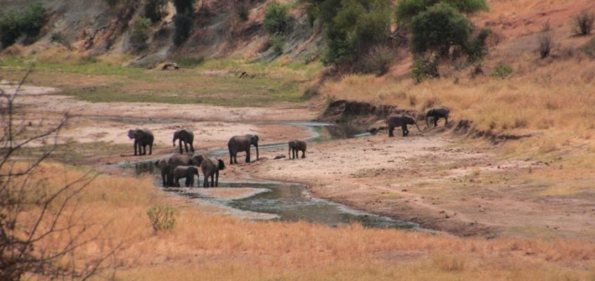 Parque Nacional de Tarangire