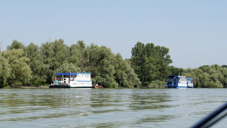 Delta del Danubio