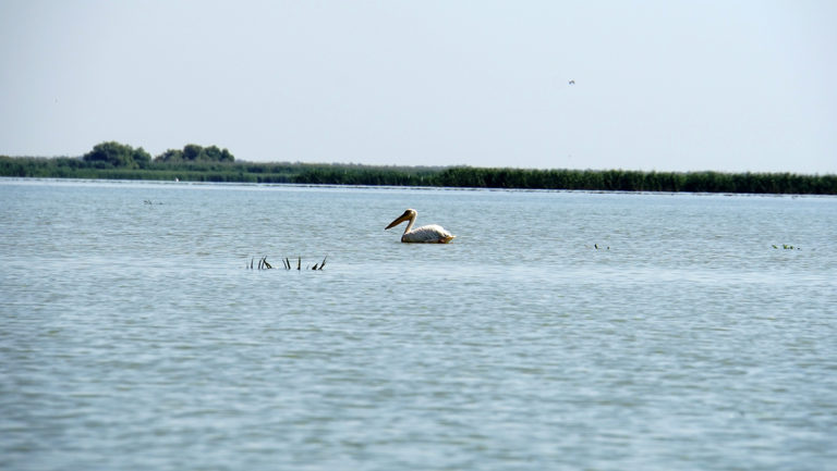 Delta del Danubio