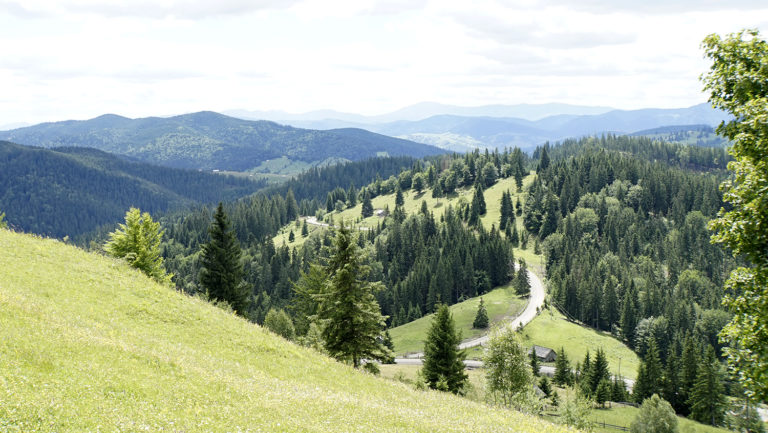 Paisaje de colinas