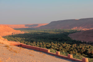 Marruecos. Gran Palmeral
