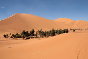 Marruecos. Oasis